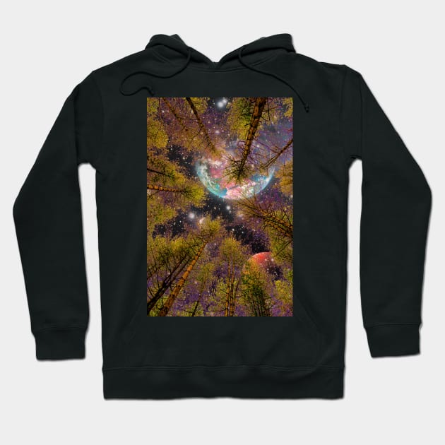 Above plain sight Hoodie by morysetta